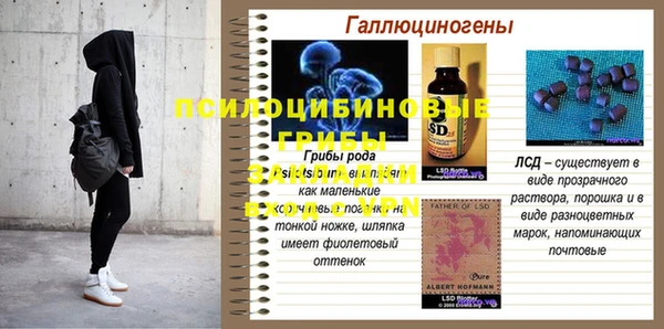 метамфетамин Богородицк