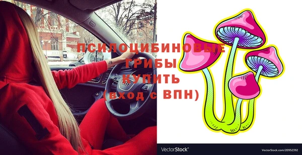 прущий лед Богородск