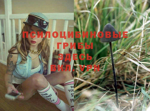круглые Богданович