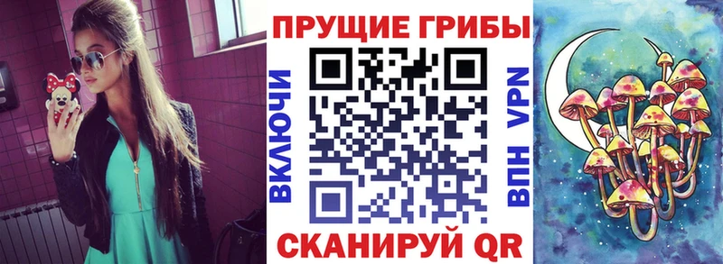 Псилоцибиновые грибы мицелий цены наркотик Острогожск