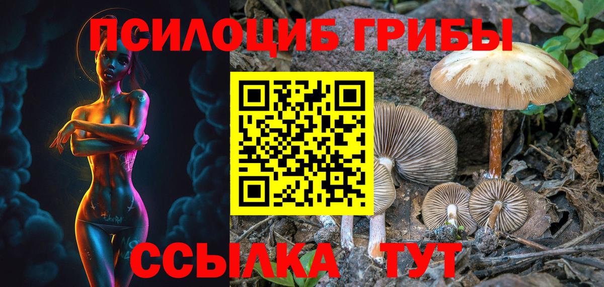 Острогожск  Псилоцибиновые грибы Magic Shrooms  Вход с VPN  где продают наркотики  Псилоцибиновые грибы Psilocybine cubensis 